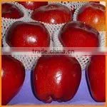 Red Delicious Apple