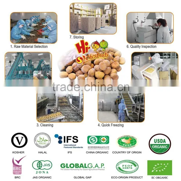 IQF Chestnuts, Frozen Peeled Chestnut for Sale photo-3