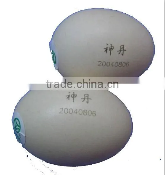 10W CO2 Laser Logo Printing Machine for Sale Used in Eggs Fruits Laser Printer With Trade Assurance photo-6
