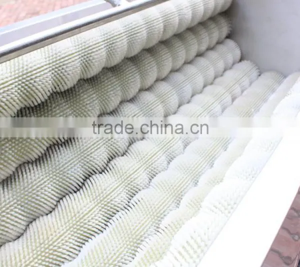High Efficiency Large Capacity Attrition Type Vegetable and Fruit Peeler Peeling Machine photo-4