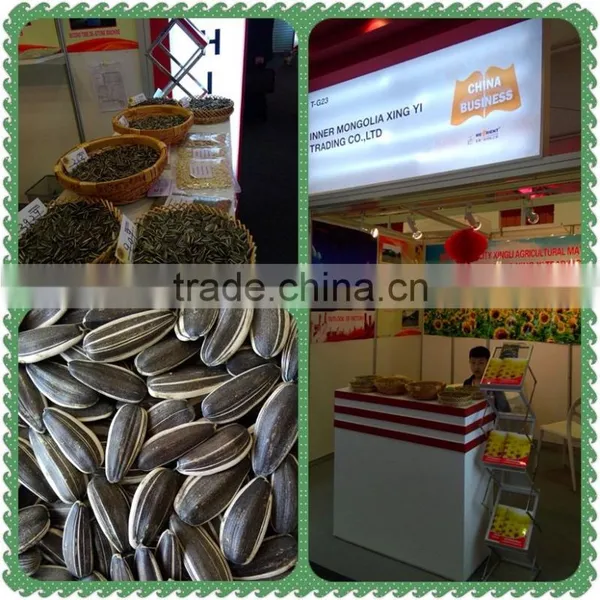 Chinese Sunflower Seeds Supplier