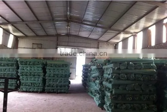 EUCALYPTUS A GRADE QUALITY WOODEN STICK photo-2