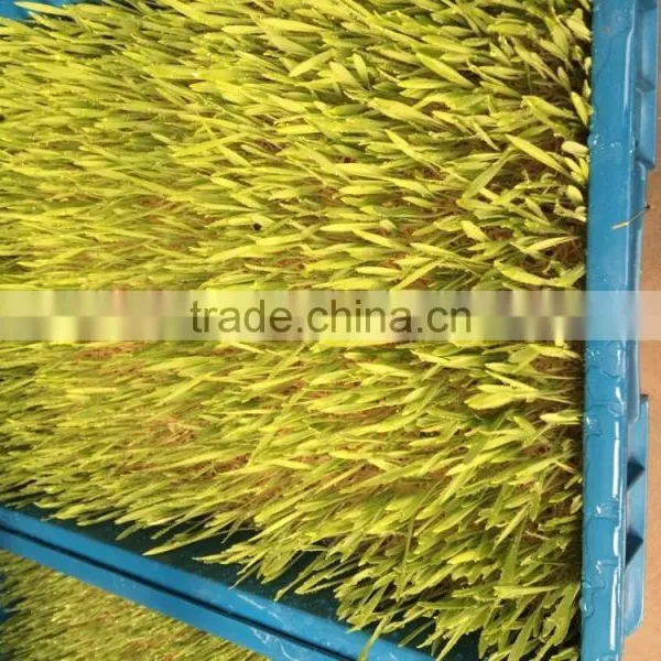 1000-100000KG/DAY Automatic Heating and Watering Hydroponic Fodder Production Line photo-5