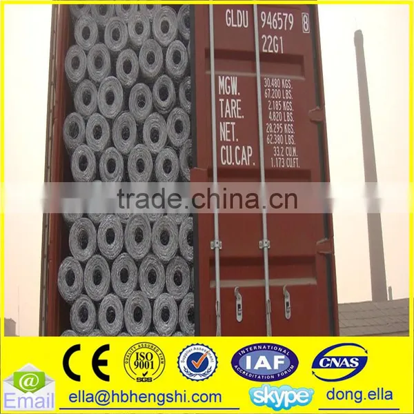 Hexagonal Mesh/Hexagonal Wire Mesh photo-5