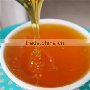 Honey Vacuum Concentrator /honey Extractor /honey Making Machine Used to Remove Moisture of Honey photo-6