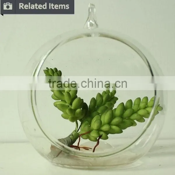 Hanging Succulents Mini Plants Artificial Glass Potted Plants photo-5
