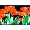 Sell RGB/Full Color LED Display Screen