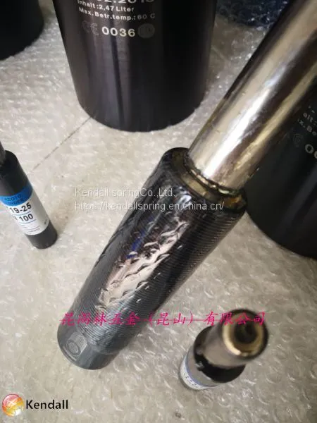Gas Spring; Bordignon Gas Spring; Gas Spring photo-3