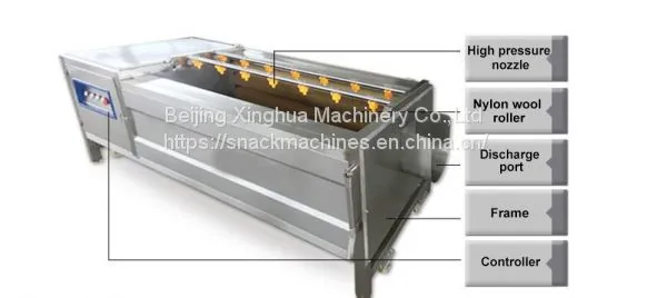 Working Principle Of Fruit And Vegetable Brush Washing Machine Manufacturing Process photo-3