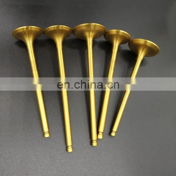Pick up Truck Spare Parts For Hyundai Tucson Trago Ix35 D6ca D6ac I20 hd 65/72/78 Y20 Intake Exhaust Engine Valve photo-6