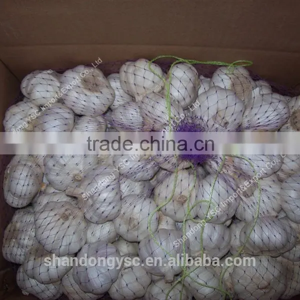 Factory Price Chinese Natural Red Garlic(normal White Garlic, Purple Garlic, White Garlic) photo-6
