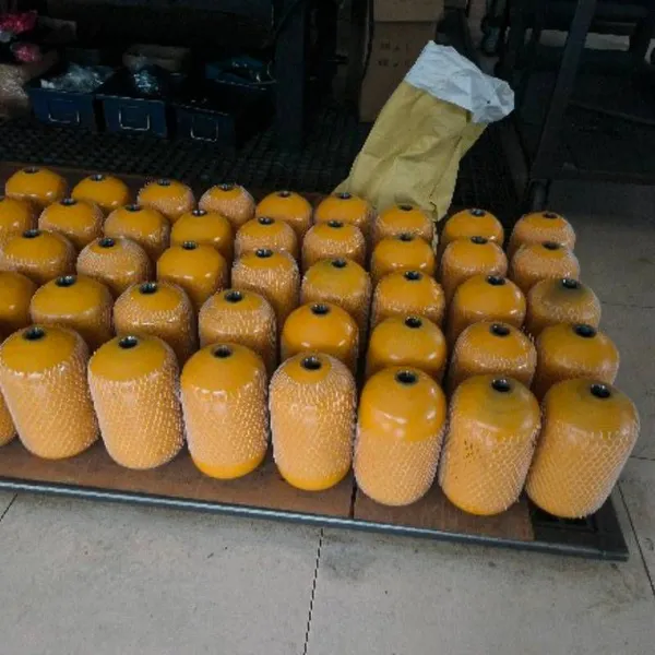 Bladder Accumulator Nxq80l/6.3l/10l/20l/40l, Accumulator Nitrogen Tank photo-5