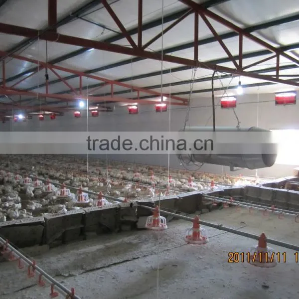 Light Steel Prefab Farm House for Chicken photo-6