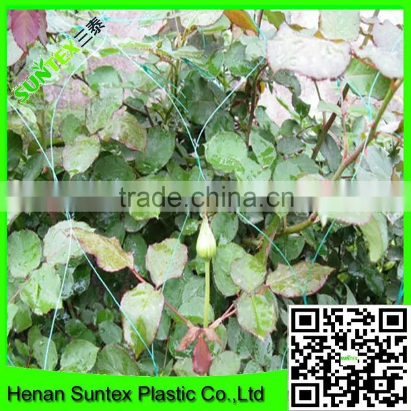 Heavy Duty Long-lasting Flexible Trellis Netting Polyester Net Plant Support Net photo-6
