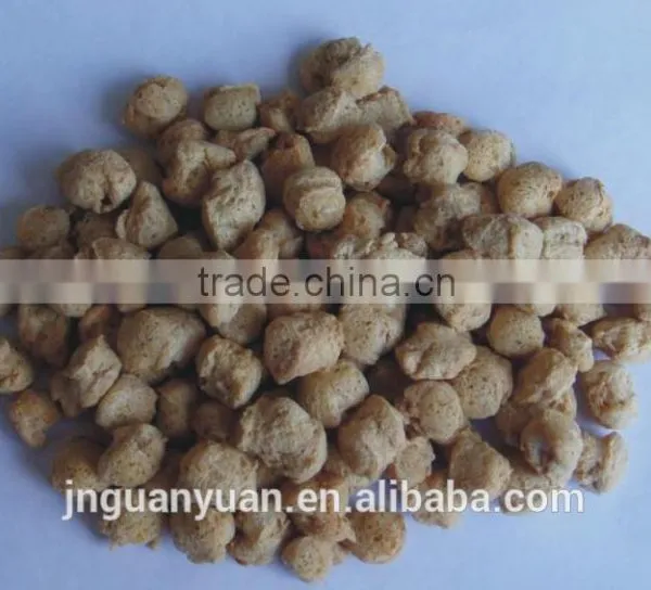 Soy Protein and Textured Soy Protein Plant photo-3