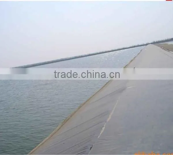 Geomembrane/HDPE Smooth Geomembrane Waterproof Membrane From 0.2mm To 3.0mm for Aquaculture/petrochemical Industry/mining photo-4