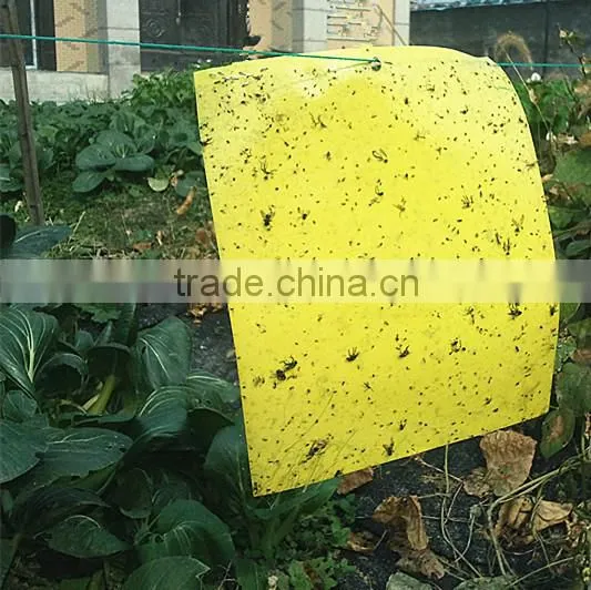 Weather Condition Yellow Sticky Hanging Mosquito ,fly ,insects Plastic Glue Trap photo-2