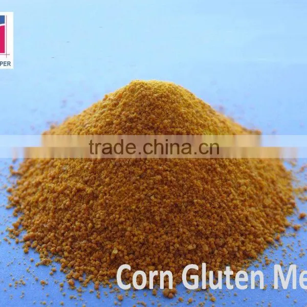 Corn Protein Powder in Corn Gluten Meal