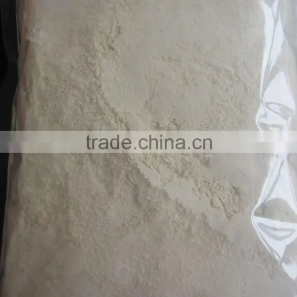 Garlic Powder Garlic Powder Processing Plant photo-2
