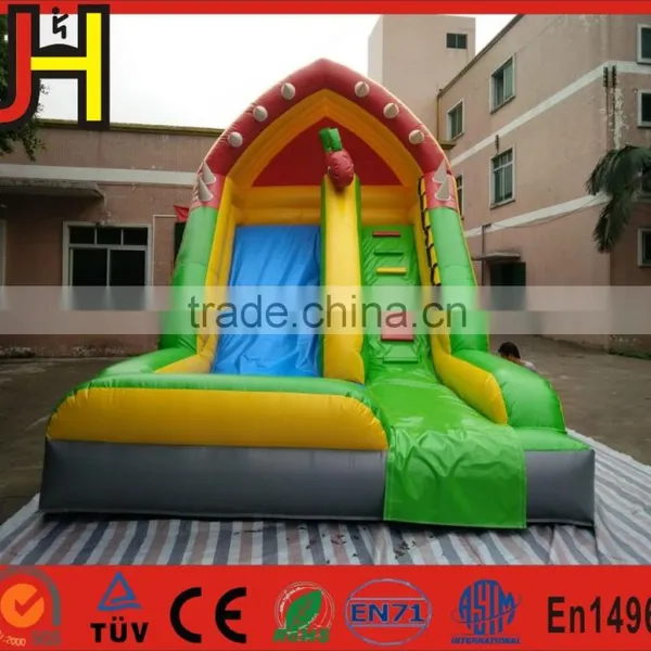 OEM Inflatable Fish Dry Slide For Kids photo-3