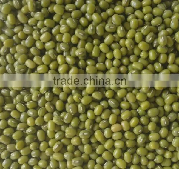 Top Quality Green Mung Beans