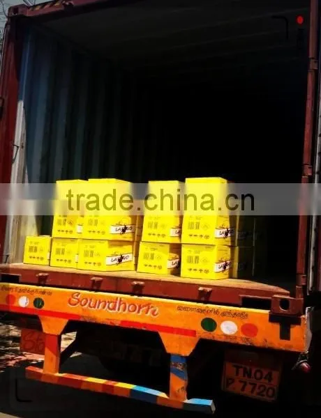 Distributor of Wax Matches For Mexico Market at Low Cost photo-6