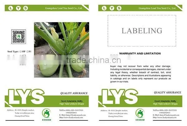 SQ08 Yuzhu Round Shape Squash Seeds for Planting, Different Types of Squash Seeds photo-2