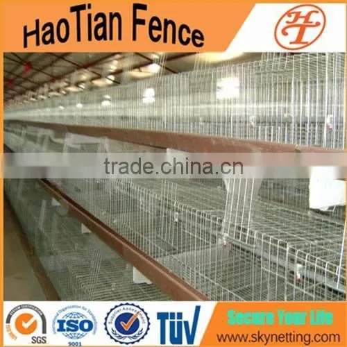 China Commercial Chicken Cage for Sale Chicken Layer Cage Price Metal Cheap Chicken Coops photo-3