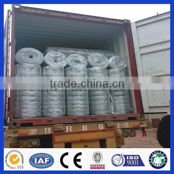 Anping Deming Factory Hot Sales Hot Dipped Galvanized Field Wire Mesh Fence photo-6