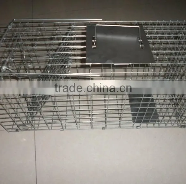 2015 the Most Popular Live Animal Traps (high Quality Wit Big Supply) photo-3