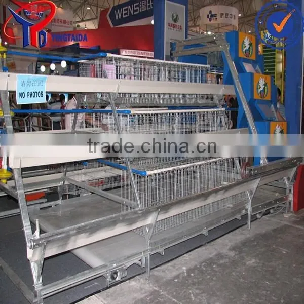 Poultry Abattoir Equipment photo-3