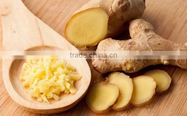 Hot Sale Competitive Price New Harvested Young Ginger photo-3