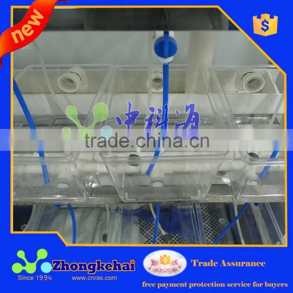 Indoor Factory Recirculating Aquaculture of Zebrafish