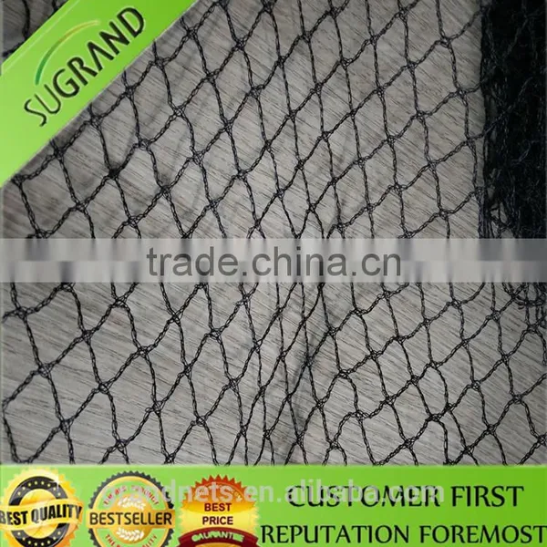 Anti Bird Netting for UK Market photo-5