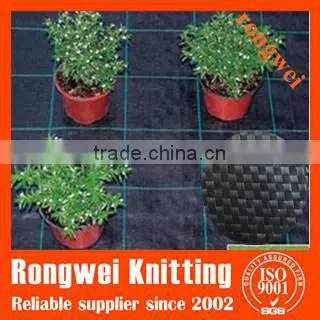Plain Woven 12x12 Mesh Plastic Weed Mat photo-5