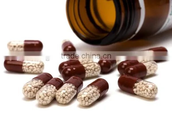 NJP-800C GMP Standard Fully Automatic Capsule Filling Machine /empty Hard Capsules Filling Machine photo-5