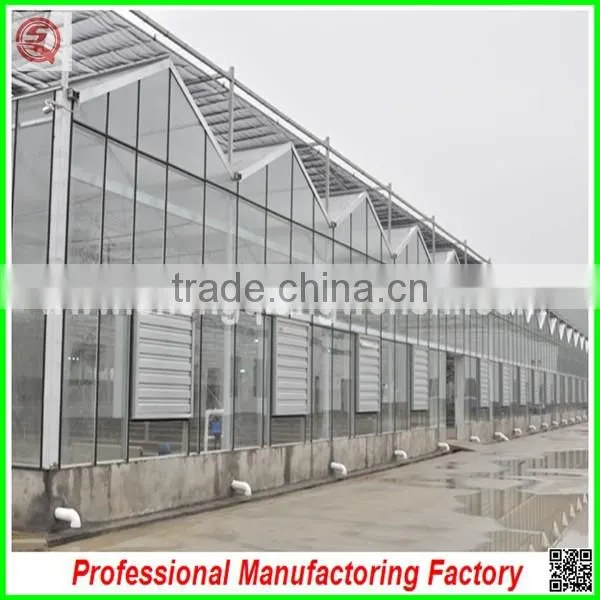 China Supplier Agriculture Farm Multi-span Glass Greenhouses for Hot Sale