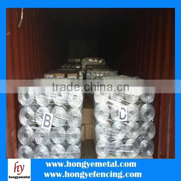 Heavy Gauge PVC Coated Welded Wire Mesh In Green Color(Anping 30 Years Manufacture) photo-6