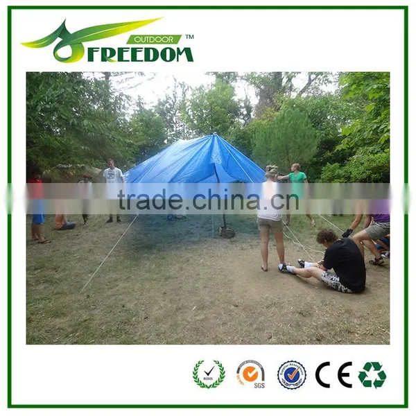 Factory Directly Supply Blue Tarps for Coverings photo-5