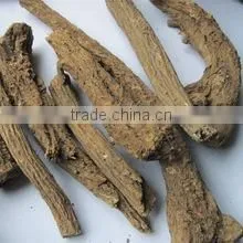 Saussurea Lappa Extract photo-2