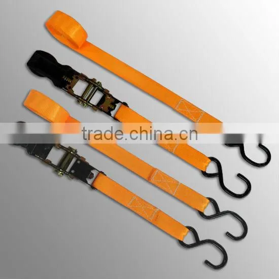 25mm Plastic Ratchet Strap With S Hooks From China Manufactory photo-2