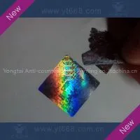 Easy Damaged Hologram Label