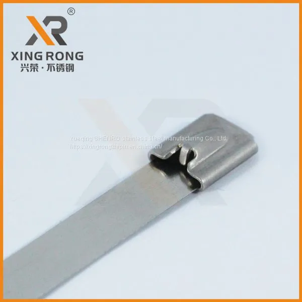 Self-locked Type Cabe TieXR-C46_stainless Steel photo-3