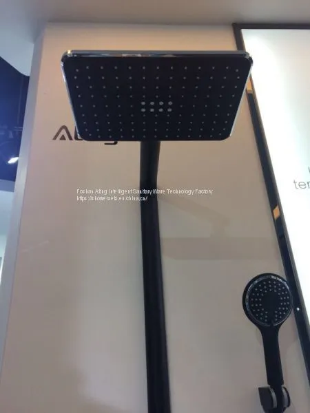 IT-P003B Shower Systems With Platform Foshan Factory Black Colour Luxury Rain Shower 3 Functions photo-3