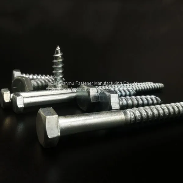 DIN571 M6 M12 Hex Head Wood Screw Fastener photo-2