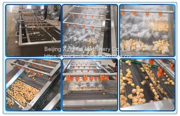 Fruit And Vegetable Washing Machine Operation Manufacturing Process photo-3