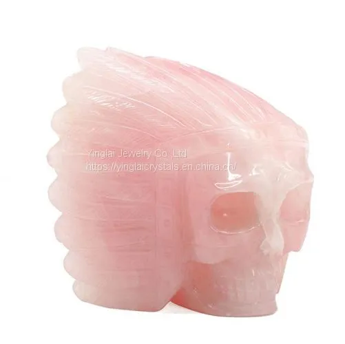 Indian Skull photo-2