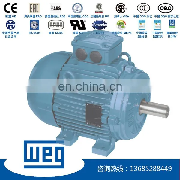WEG W21 Series IE2 High Efficiency 22kw 3 Phase ac Induction Motor photo-3