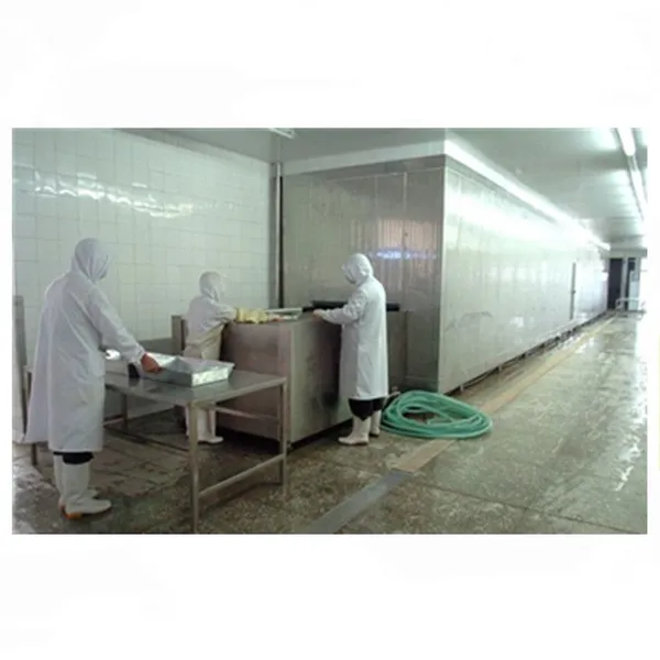 Shanghai SSD Series IQF Quick Freezing Refrigeration System photo-4
