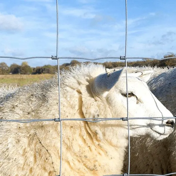 High Quality Woven Hog Wire Farm Fencing Customizable With Services Including Cutting Welding Cattle Fence photo-3